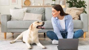 Cane con la padrona in casa