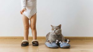Gatti e bambini, la combo funziona davvero? - Improntaunika.it