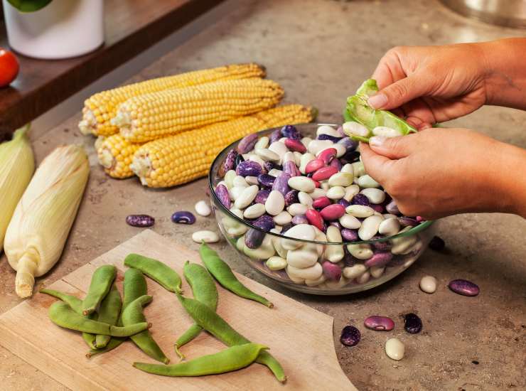 Bilanciamento della dieta e vantaggi in termini di peso: ma i difetti? - Improntaunika.it