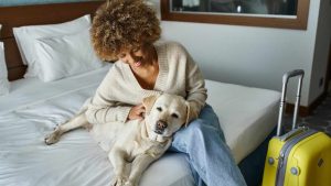 Portate il cane in albergo