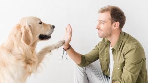 Cane con il suo padrone