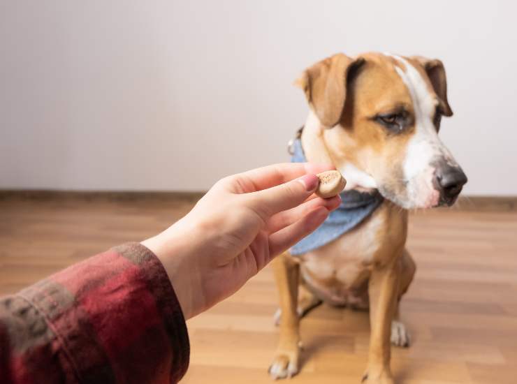Presta attenzione a cosa mangia. - Improntaunika.it