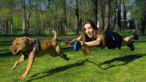 Cane: ecco perché tira il guinzaglio. - Improntaunika.it