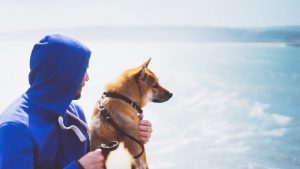 Crociera con animali? Ora si può. - Improntaunika.it