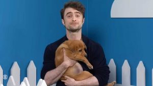 Daniel Radcliffe. - Improntaunika.it