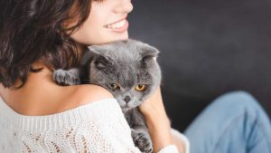 Gatti come spiriti affini. - Improntaunika.it
