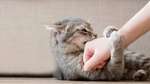 Forse qualcosa non va. - Improntaunika.it