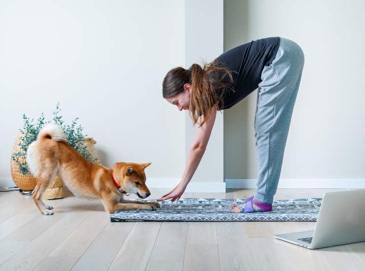 Addio al puppy yoga. - Improntaunika.it