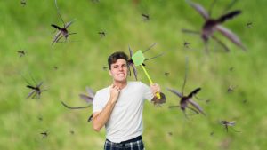 Allerta zanzare in questa regione