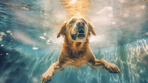 Cane-rischi-bagno-regioni-ImprontaUnika.it