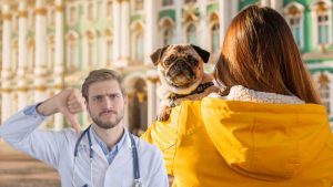 Come prendere il cane in maniera corretta