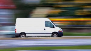 Traffico illegale di animali