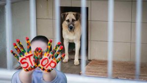 Stop all'abbandono in Piemonte