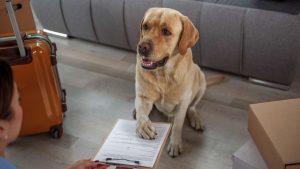 documento-cane-non-dimenticare-Improntaunika.it