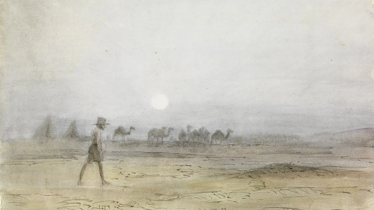 Australian Mist
