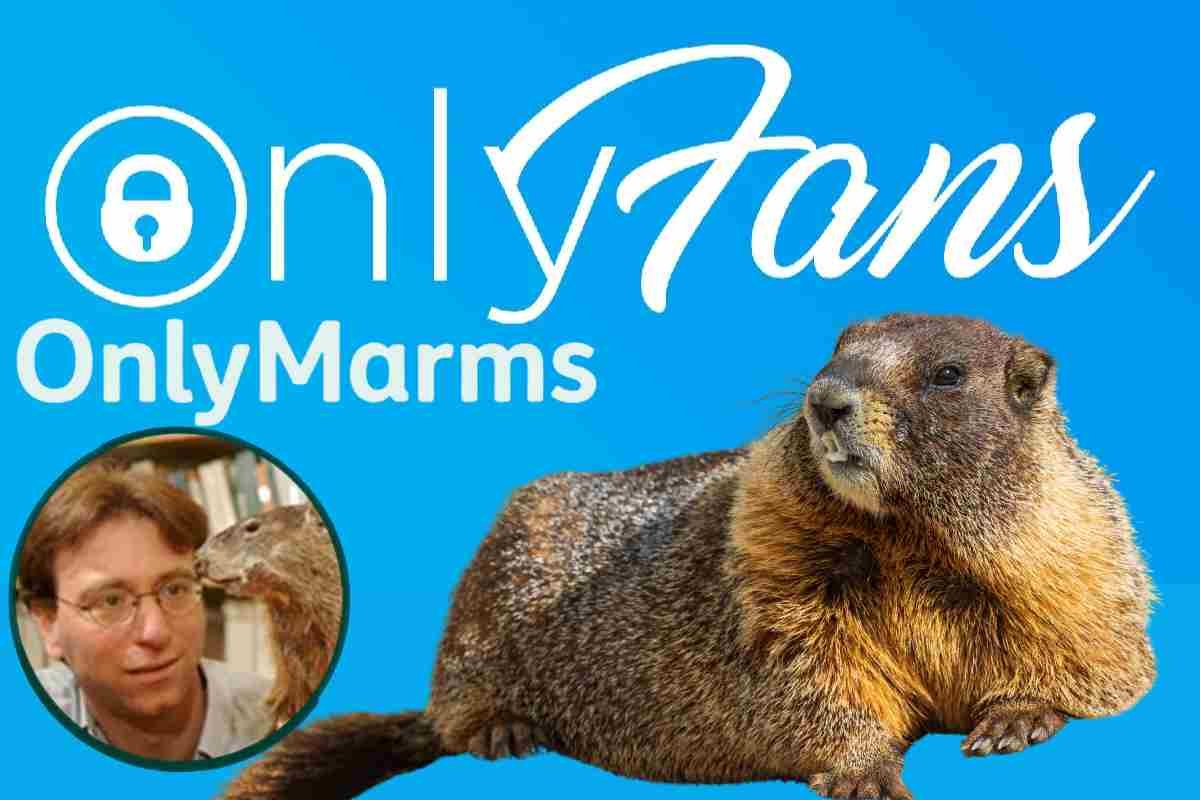 Marmotte su OnlyFans per salvare 60 anni di ricerca scientifica