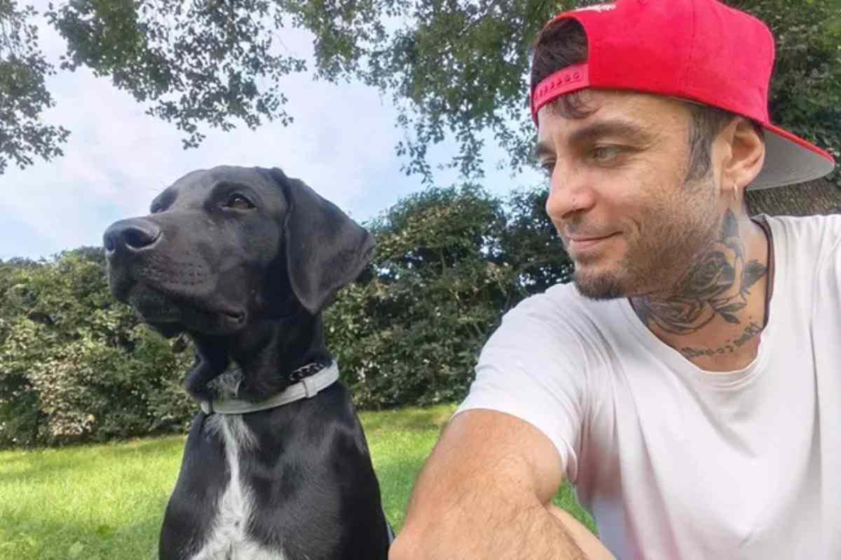Ludo, il cane che aspetta Andrea: l’appello per trovare una nuova famiglia