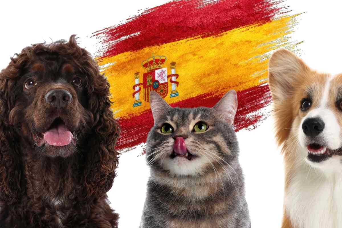 Nuove regole in Spagna per la tutela degli animali da compagnia