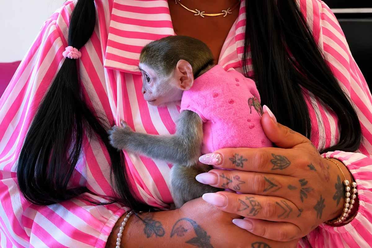 L’influencer Rita De Crescenzo e la scimmietta sui social: un dibattito su come rappresentare gli animali selvatici