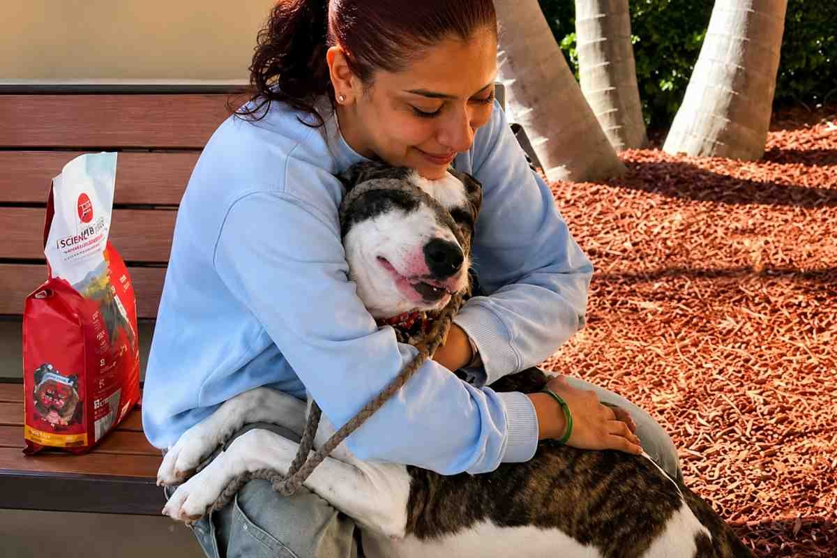 Haze, la cagnolina che ha aspettato un anno per tornare con la sua umana