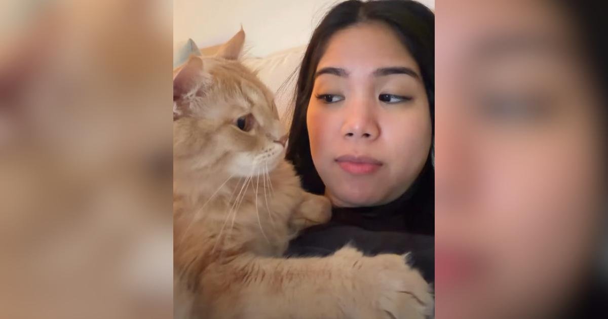 Leo, il gatto che parlava troppo, trova una madre che ascolta