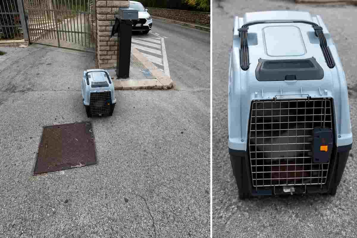 Cane trovato morto in trasportino davanti a chiesa: segnalazioni al 112 non hanno evitato decesso