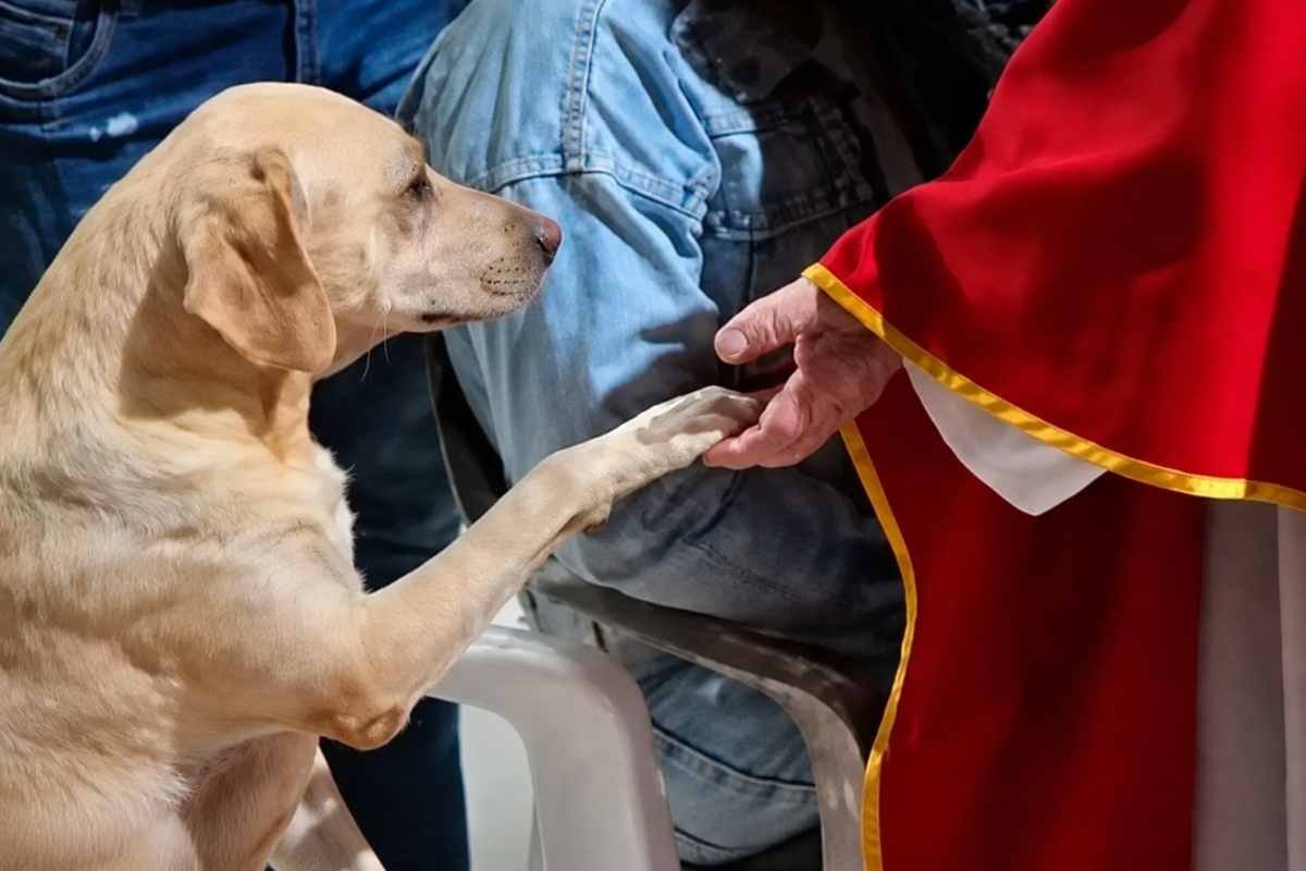 Simón e il gesto di fiducia: un momento di emozione in una parrocchia colombiana