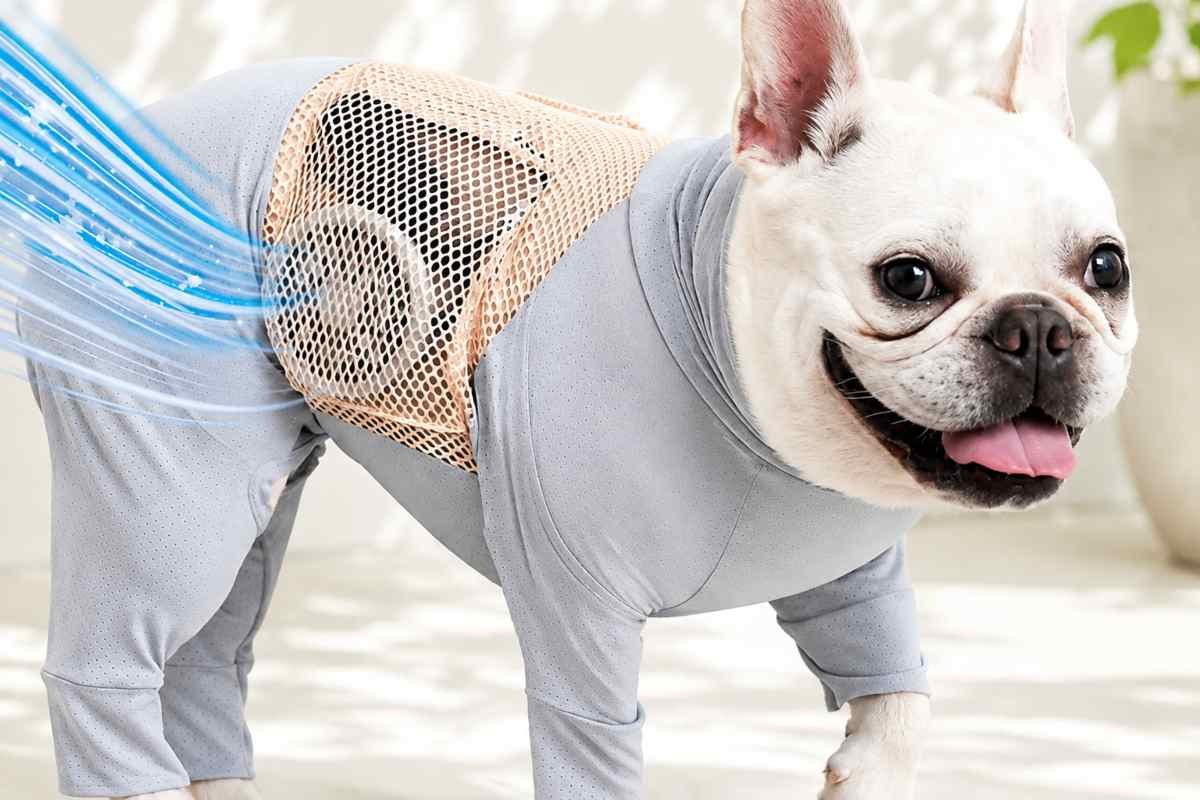 Tute climatizzate per cani e gatti: l’invenzione giapponese contro il caldo estremo