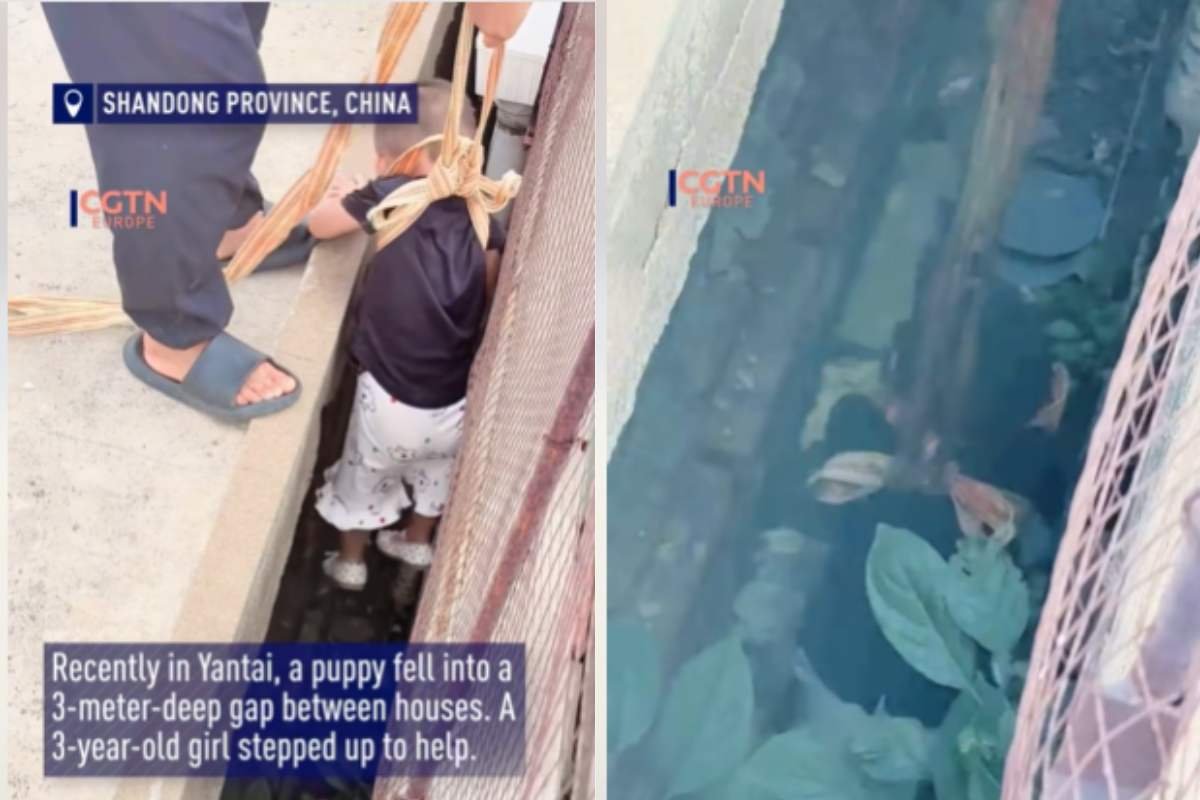 Una bambina di tre anni salva un cucciolo incastrato, ispirata dai vigili del fuoco
