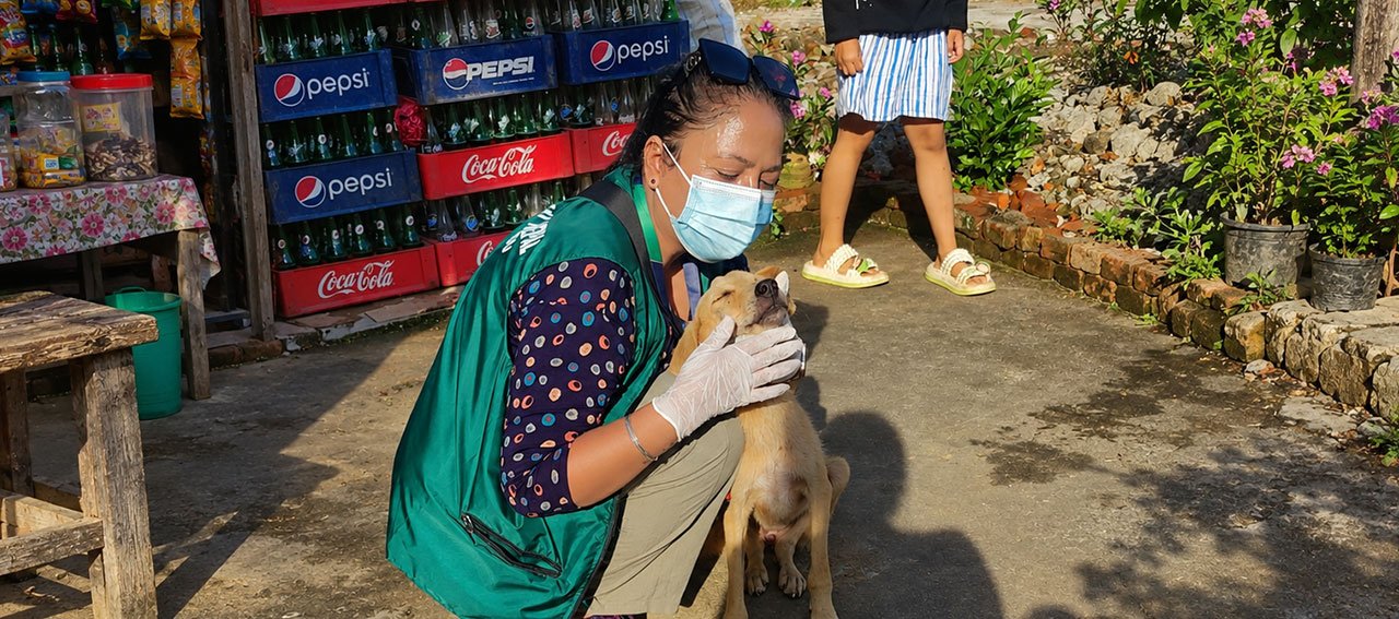 Alluvione in Nepal: gli animali sono in pericolo e hanno bisogno del nostro aiuto