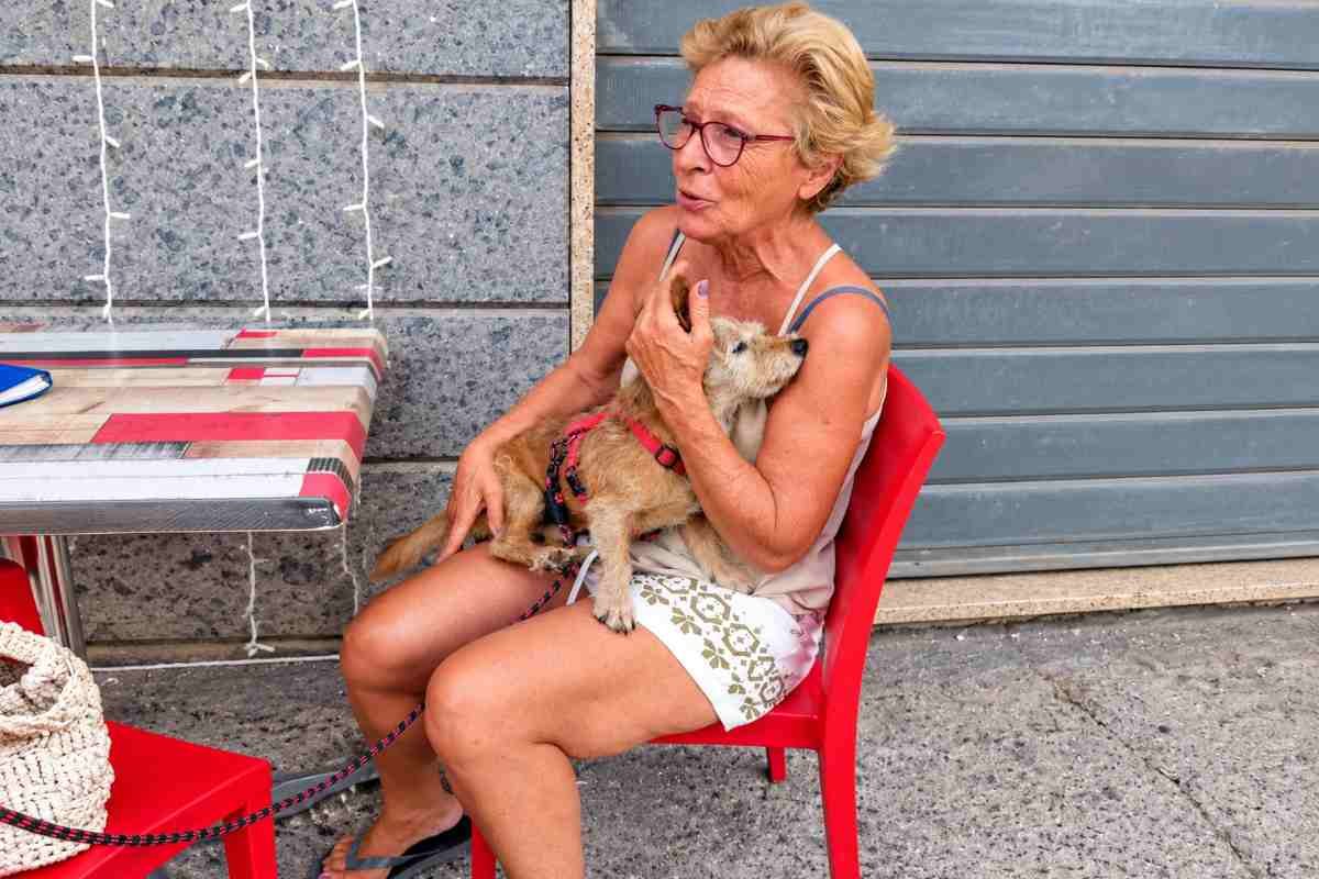 Bruno ritrovato dopo sette anni: la donna lo riconosce grazie a una foto sui social