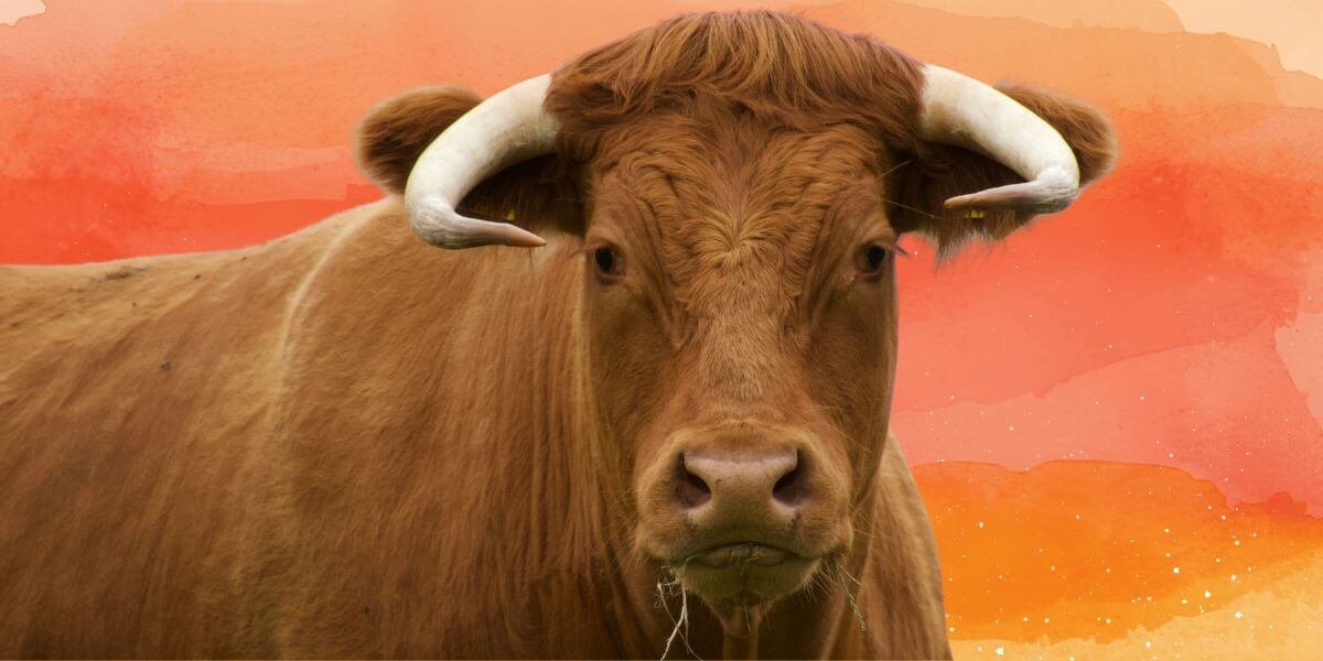 PETA Latino celebra un anno di progressi per gli animali durante il mese della cultura hispanica