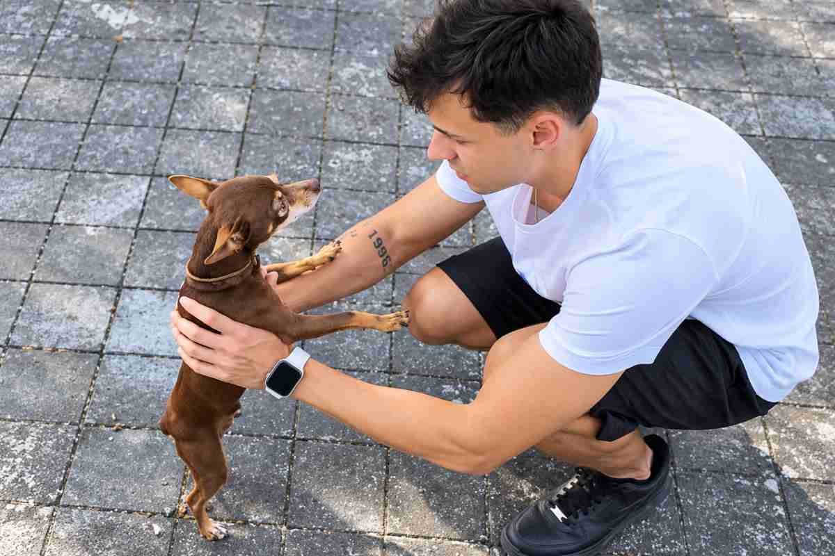 Juan salva un cane in difficoltà in una piscina abbandonata e lo restituisce alla famiglia