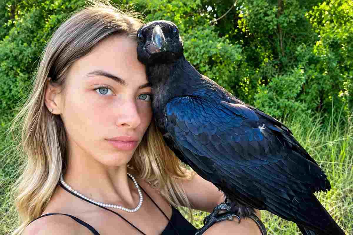 Corvo imperiale di quattro mesi ucciso da cacciatore vicino alla ragazza che l’aveva cresciuta