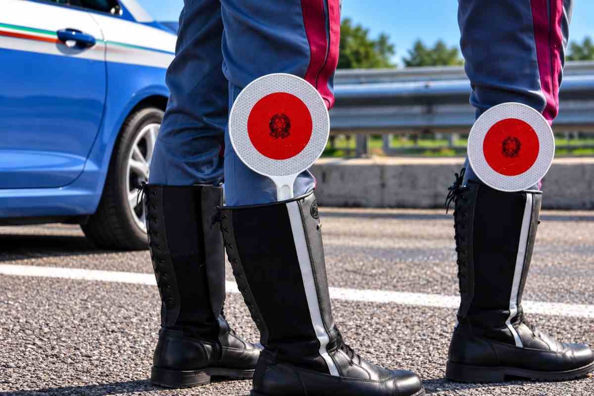 Sette cani muoiono in un veicolo durante un viaggio: indagino le condizioni di trasporto
