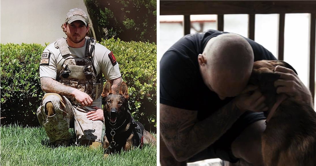Cairo, il cane eroe di SEAL Team 6 e la missione contro Bin Laden