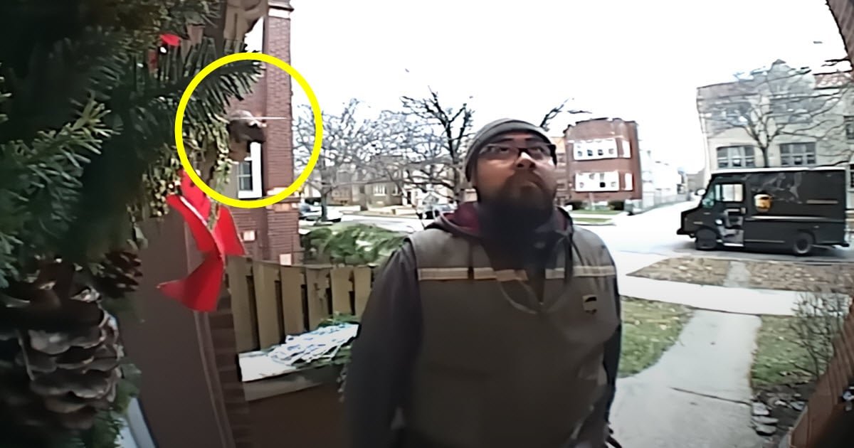 Un incontro inaspettato con un animale durante una consegna
