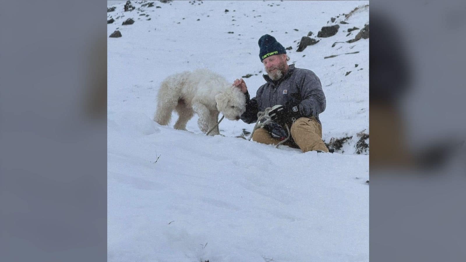 Lou Lou, il cane perso in Alaska, ritrovato dopo una ricerca aerea