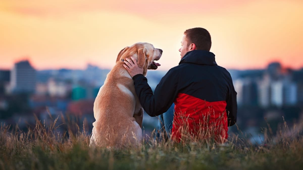 Passaggio all’ora solare del 25 ottobre 2026: come i cani reagiscono al cambiamento