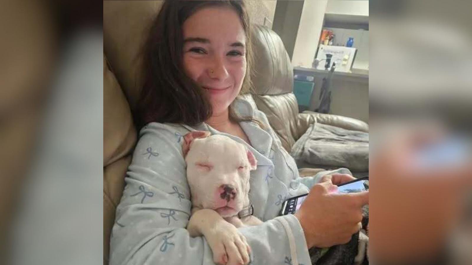 Lulu, la cucciola con vista limitata, trova la sua compagna perfetta